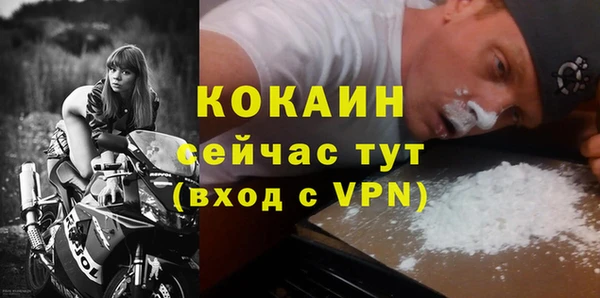 сатива Козловка